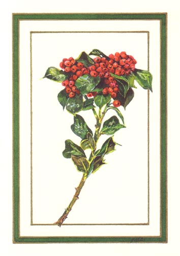 Yaupon Holly Christmas Card